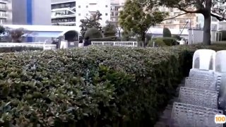 欧美丝袜一区🈲丰满人妻妇伦又伦精品APP国产🈲两性午夜视频无码